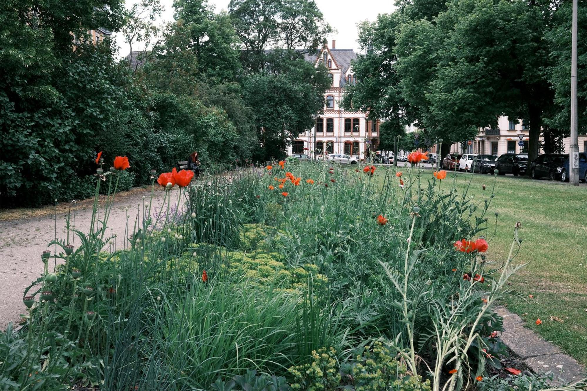 Schickes Apartment In Zwickau Direkt Am Roemerplatz Ngoại thất bức ảnh